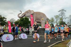 BIB: 
                            <button type="button" onclick="openModal(26528310)" class="btn btn-primary btn-sm float-right btn-popup" data-toggle="modal" data-target=".modal-high-quality">
                        <i class="fas fa-shopping-cart"></i> Add to Cart
                    </button>
                                            <button type="button" onclick="isThisMe(26528310, true)" class="btn btn-success btn-sm float-right btn-popup btn-isme hidden" data-toggle="tooltip" data-placement="bottom" title="นี่คือรูปของคุณใช่ไหม คลิกที่นี่เพื่อเอาเข้าอัลบั้ม">
                        <i class="fas fa-plus"></i> Add to album
                    </button>
                    <button type="button" onclick="isThisMe(26528310, false)" class="btn btn-warning btn-sm float-right btn-popup btn-isnotme hidden">
                        <i class="fas fa-ban"></i> Remove from album
                    </button>